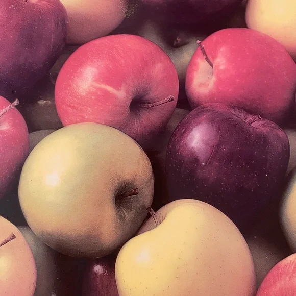 Starbucks Coffee Apple design Fruit Cheese Serving Tray plate 9"x7” Ceramic - Picture 4 of 6